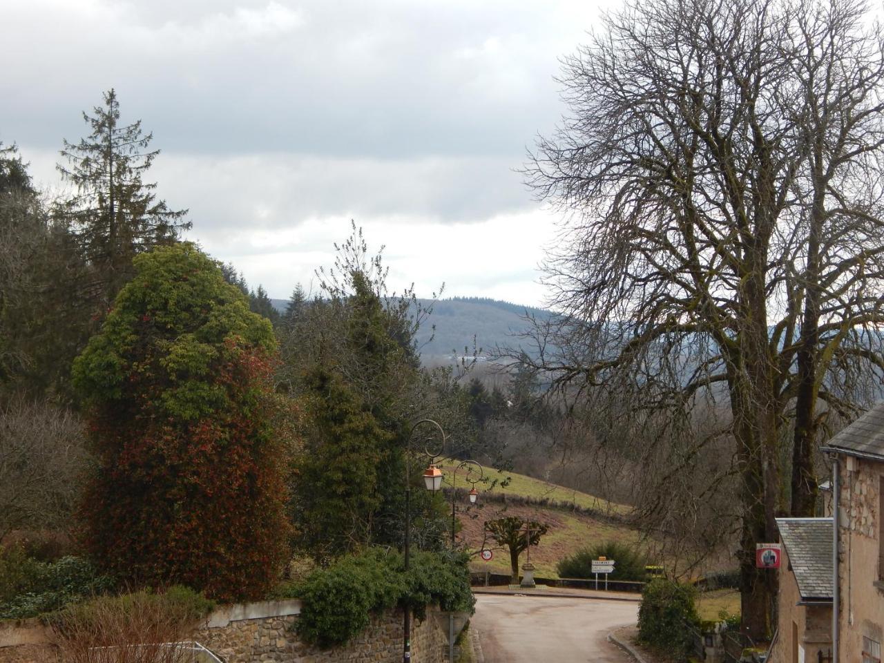 Le Lion D'Or Otel Ouroux-en-Morvan Dış mekan fotoğraf
